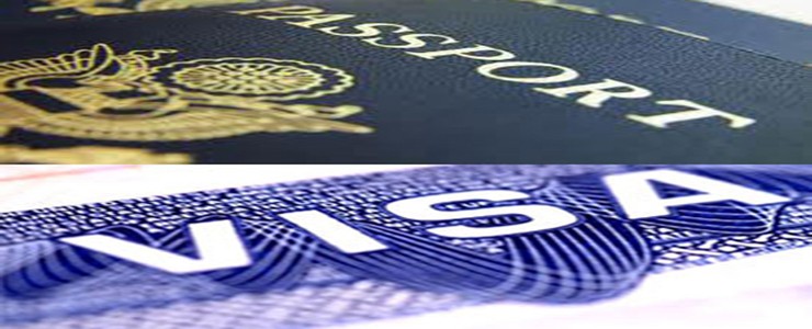 treat expert visa service
